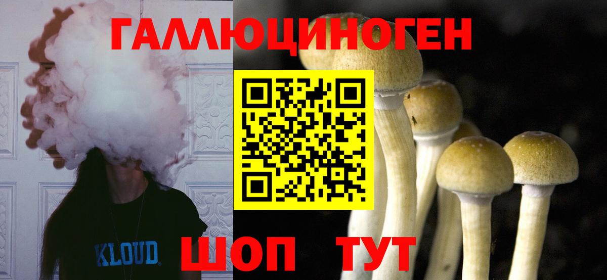 Галлюциногенные грибы мухоморы  Вход с VPN  Учалы  Псилоцибиновые грибы мицелий 